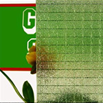 Unser Ornamentglas bieten wir in weißer oder farbiger Ausführung